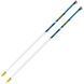 Vipole Asta Power Steps Blue 105