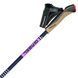 Палиці для скандинавської ходьби Gabel Stretch Carbon Lilac (7008352650000)