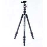 купить Треножные штативы Vanguard Штатив Vanguard Vesta TB 204CB (Vesta TB 204CB)