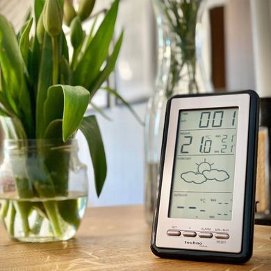 купить Метеостанции Technoline Метеостанция Technoline WS9130 Silver/Black (WS9130)