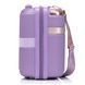 Бьюти-кейс Semi Line 16L Purple (T5916-1)