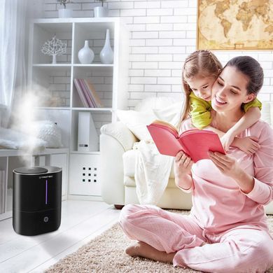 Увлажнитель воздуха ультразвуковой Trotec B 2 E Black (1160000051)