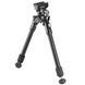 Vanguard Equalizer 2QS A