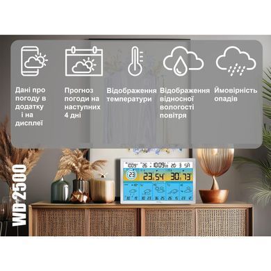 Метеостанція Technoline DirektWetter WD2500 Silver (WD2500)