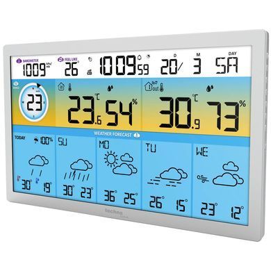 Метеостанція Technoline DirektWetter WD2500 Silver (WD2500)