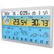 Метеостанція Technoline DirektWetter WD2500 Silver (WD2500)