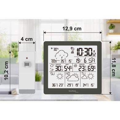 Метеостанція Technoline DirektWetter WD2200 Graphite (WD2200)